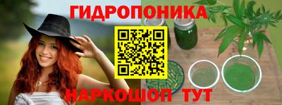 СК Краснодар