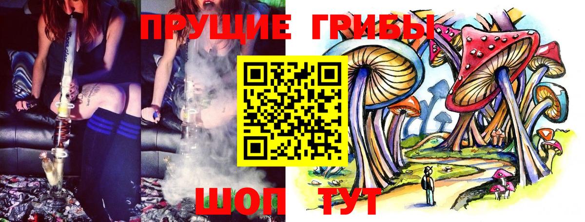 Галлюциногенные грибы Psilocybine cubensis  Вход с VPN  Углич 