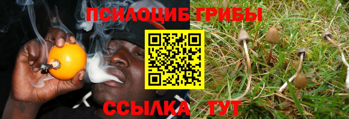 Галлюциногенные грибы MAGIC MUSHROOMS Углич